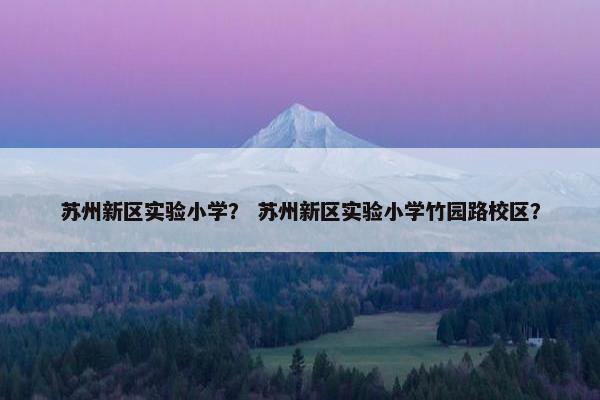 苏州新区实验小学？ 苏州新区实验小学竹园路校区？