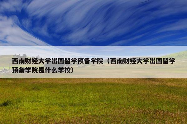 西南财经大学出国留学预备学院（西南财经大学出国留学预备学院是什么学校）