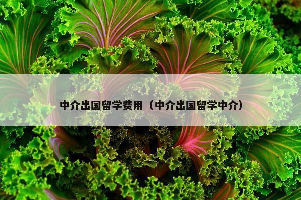 中介出国留学费用（中介出国留学中介）