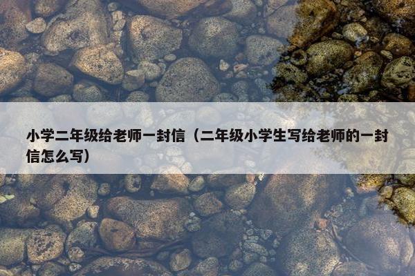 小学二年级给老师一封信（二年级小学生写给老师的一封信怎么写）