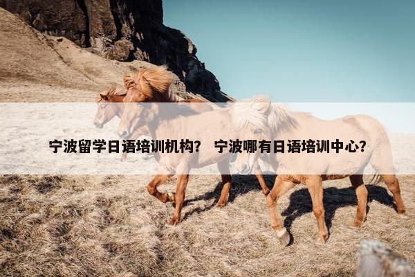 宁波留学日语培训机构？ 宁波哪有日语培训中心？