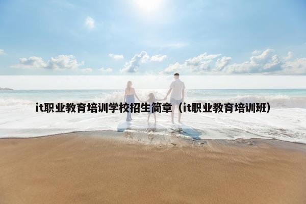 it职业教育培训学校招生简章（it职业教育培训班）