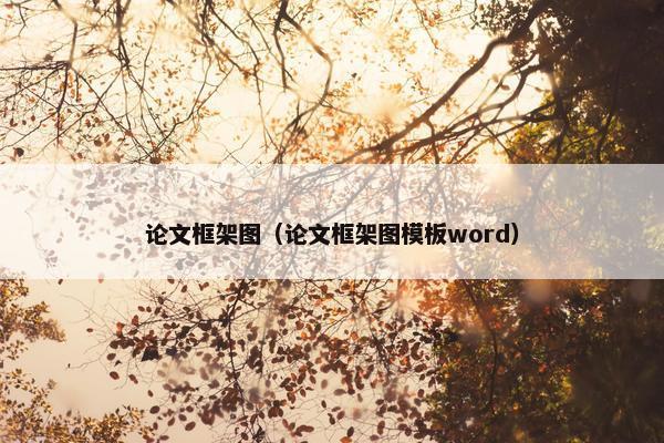 论文框架图（论文框架图模板word）