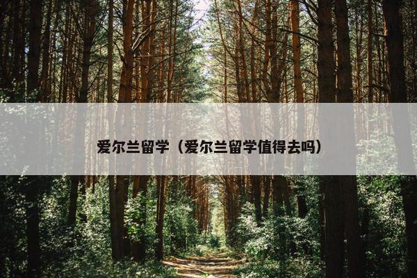 爱尔兰留学（爱尔兰留学值得去吗）