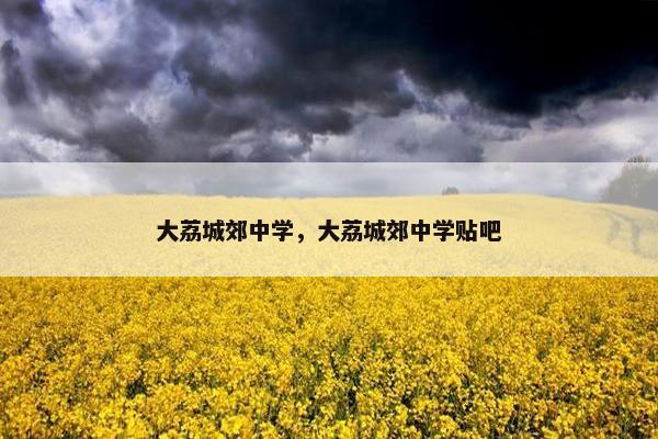 大荔城郊中学，大荔城郊中学贴吧