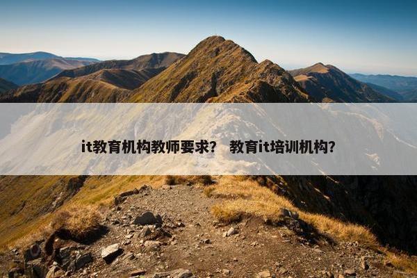 it教育机构教师要求？ 教育it培训机构？