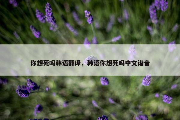 你想死吗韩语翻译，韩语你想死吗中文谐音
