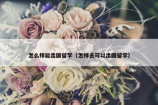 怎么样能出国留学（怎样去可以出国留学）