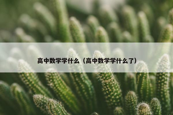 高中数学学什么（高中数学学什么了）
