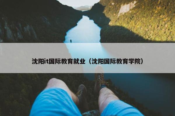 沈阳it国际教育就业（沈阳国际教育学院）