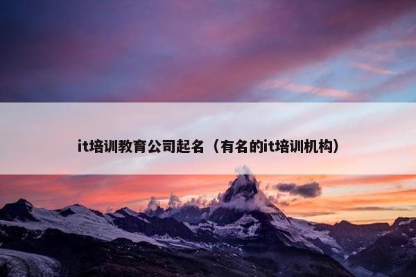 it培训教育公司起名（有名的it培训机构）