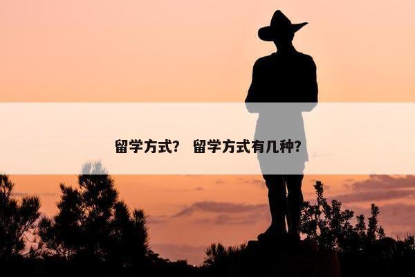 留学方式？ 留学方式有几种？