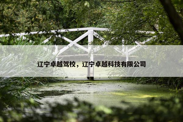 辽宁卓越驾校，辽宁卓越科技有限公司