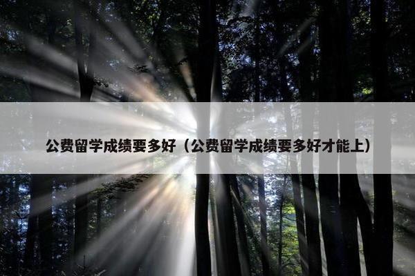 公费留学成绩要多好（公费留学成绩要多好才能上）