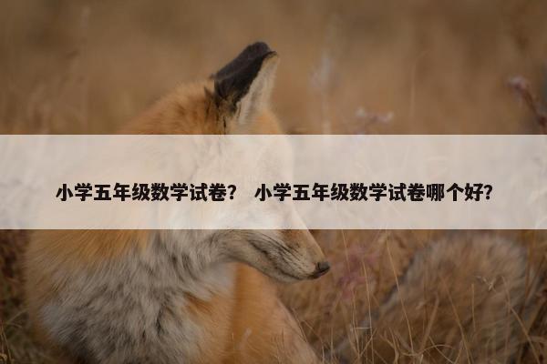 小学五年级数学试卷？ 小学五年级数学试卷哪个好？