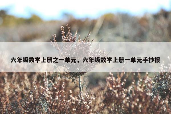 六年级数学上册之一单元，六年级数学上册一单元手抄报