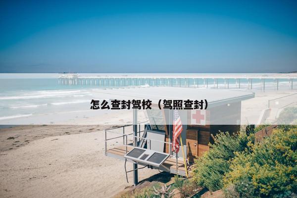 怎么查封驾校（驾照查封）