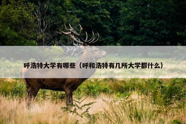呼浩特大学有哪些（呼和浩特有几所大学都什么）