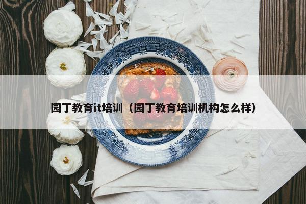 园丁教育it培训（园丁教育培训机构怎么样）