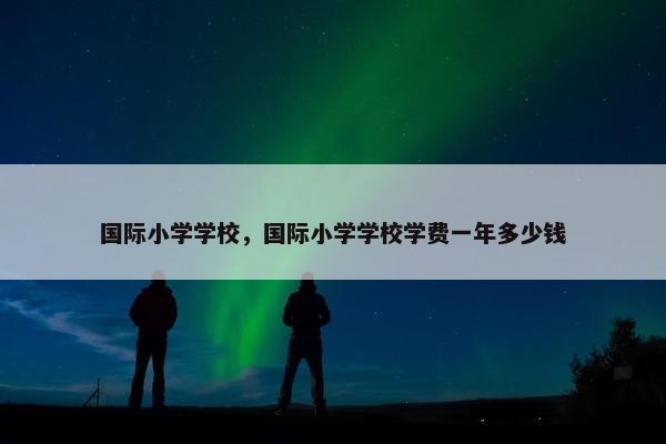 国际小学学校，国际小学学校学费一年多少钱