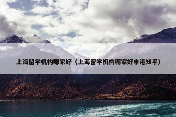 上海留学机构哪家好（上海留学机构哪家好申港知乎）