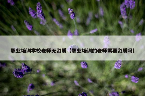 职业培训学校老师无资质（职业培训的老师需要资质吗）
