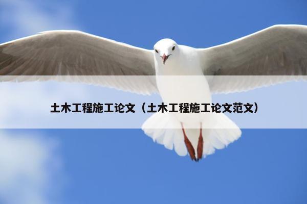 土木工程施工论文（土木工程施工论文范文）