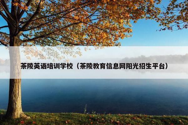 茶陵英语培训学校（茶陵教育信息网阳光招生平台）
