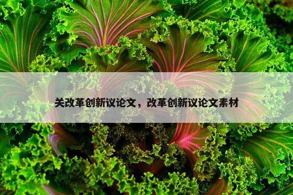 关改革创新议论文，改革创新议论文素材