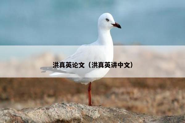 洪真英论文（洪真英讲中文）