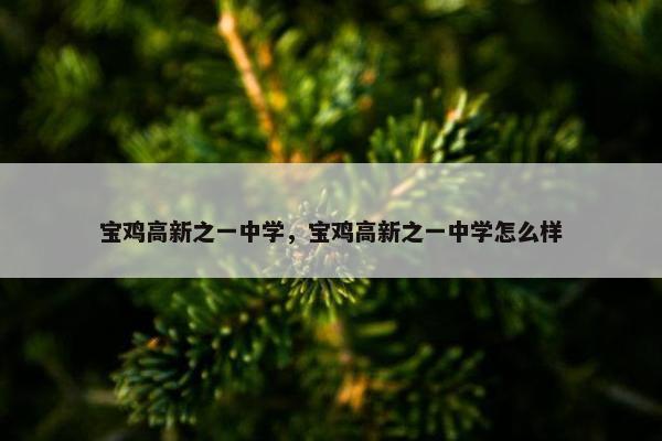 宝鸡高新之一中学，宝鸡高新之一中学怎么样