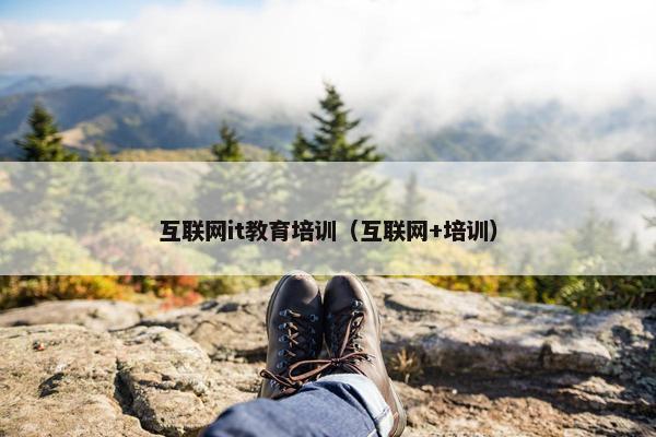 互联网it教育培训（互联网+培训）
