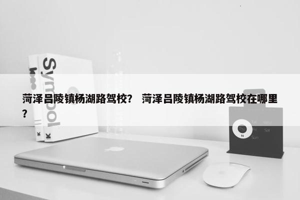 菏泽吕陵镇杨湖路驾校？ 菏泽吕陵镇杨湖路驾校在哪里？