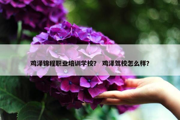 鸡泽锦程职业培训学校？ 鸡泽驾校怎么样？
