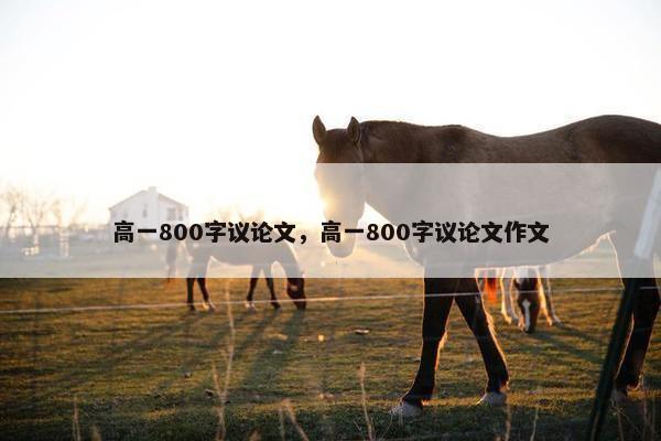 高一800字议论文，高一800字议论文作文