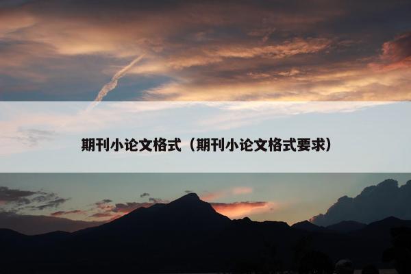 期刊小论文格式（期刊小论文格式要求）