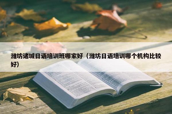 潍坊诸城日语培训班哪家好（潍坊日语培训哪个机构比较好）