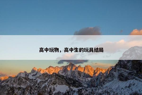 高中玩物，高中生的玩具结局