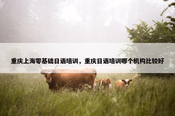 重庆上海零基础日语培训，重庆日语培训哪个机构比较好
