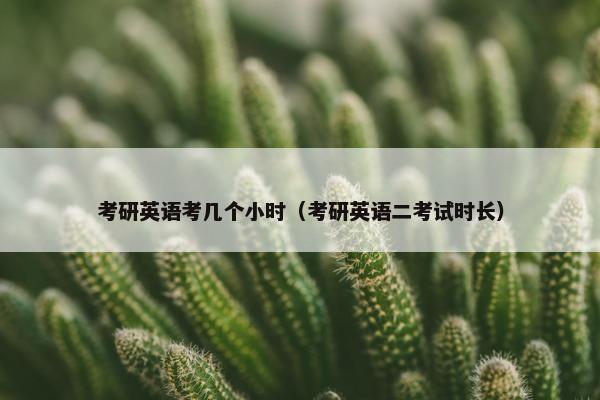 考研英语考几个小时（考研英语二考试时长）