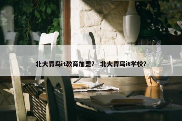 北大青鸟it教育加盟？ 北大青鸟it学校？