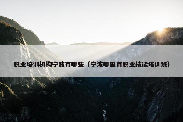 职业培训机构宁波有哪些（宁波哪里有职业技能培训班）