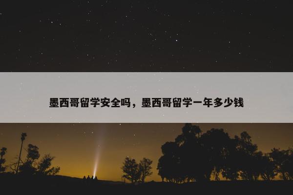 墨西哥留学安全吗，墨西哥留学一年多少钱
