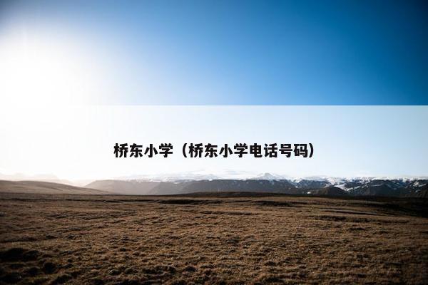 桥东小学（桥东小学电话号码）