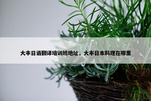 大丰日语翻译培训班地址，大丰日本料理在哪里