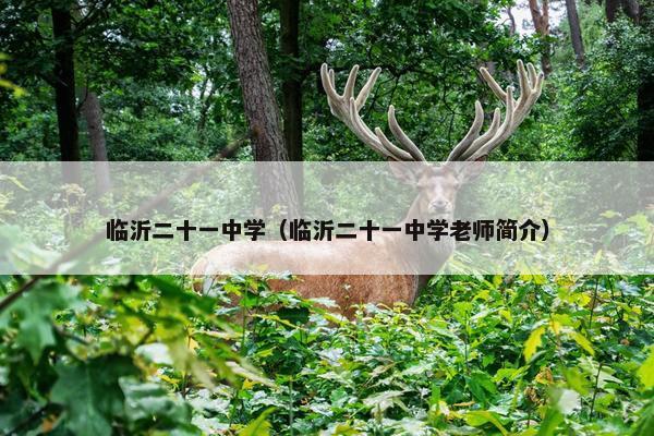临沂二十一中学（临沂二十一中学老师简介）