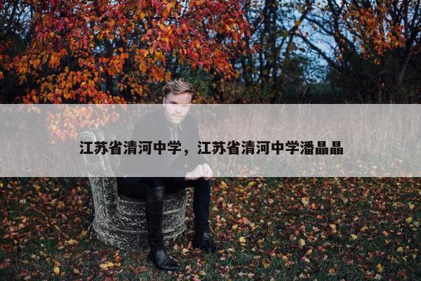 江苏省清河中学，江苏省清河中学潘晶晶