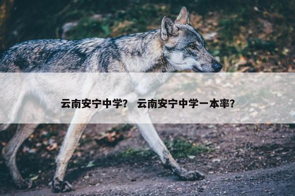 云南安宁中学？ 云南安宁中学一本率？