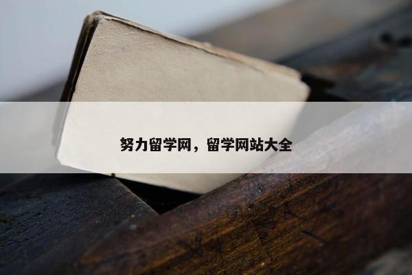 努力留学网，留学网站大全