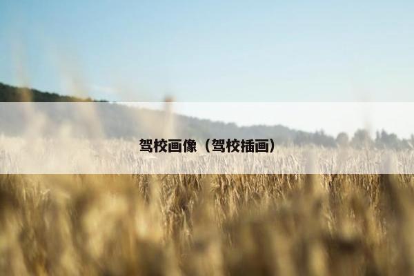驾校画像（驾校插画）